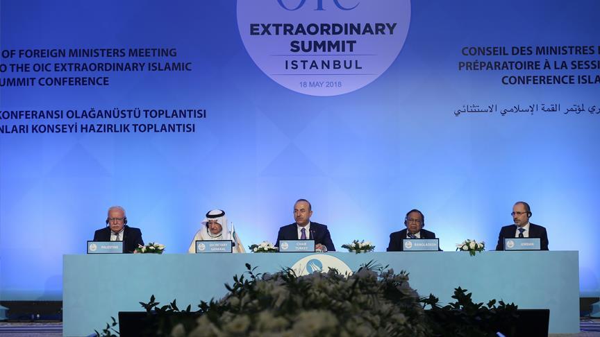 نشست فوق العاده شورای وزاری خارجه سازمان همکاری اسلامی در استانبول