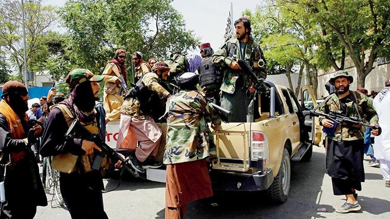 طالبان: نیروهای مان به تطبیق فرمان عفو کاملا متعهد اند
