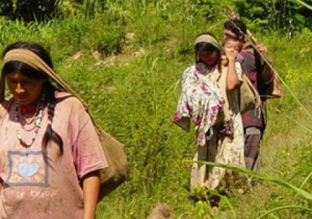 بومیان «چیمانه» بولیوی دارای سالمترین قلب های جهان