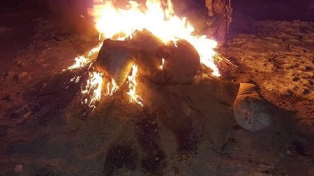 بیش از هشت تن چرس در پکتیا به آتش کشیده شد