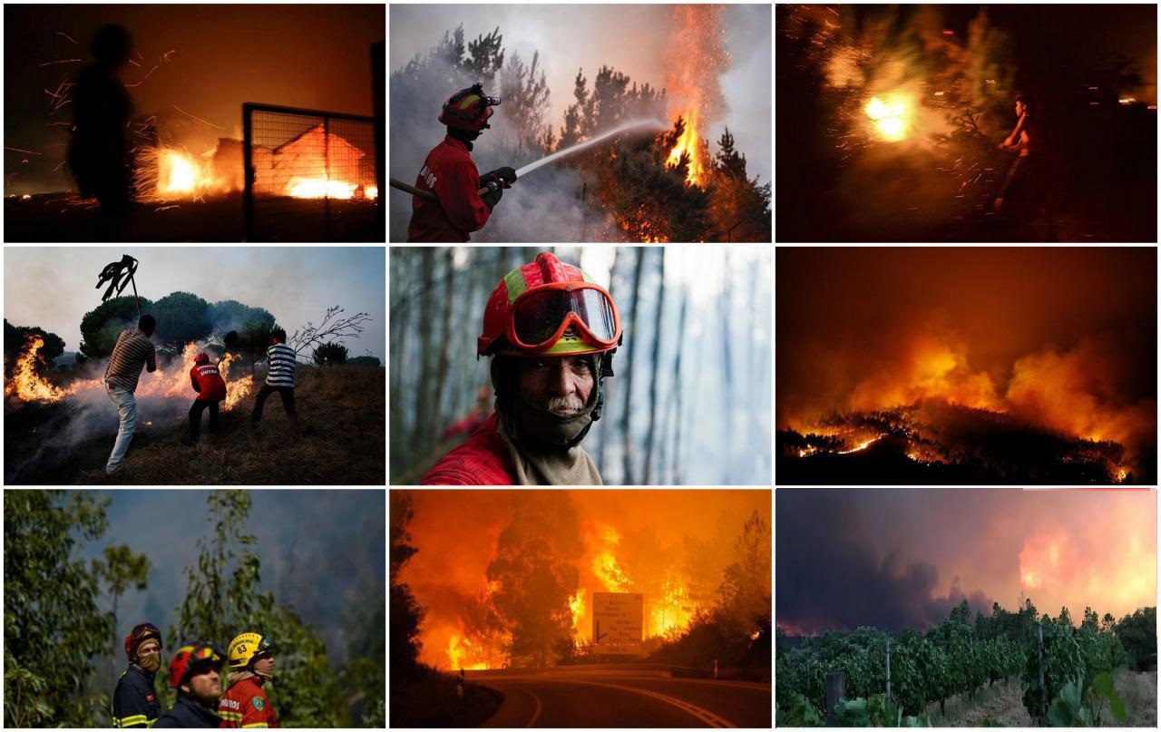 آتش سوزی در پرتغال دست کم 25 کشته بر جای گذاشت